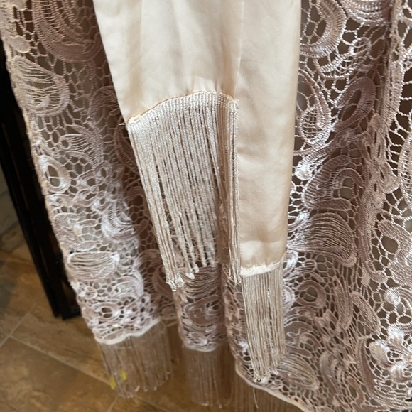 Joanna Hope Embroidered  Lace Ilusion Sheath Dress - Picture 5 of 10